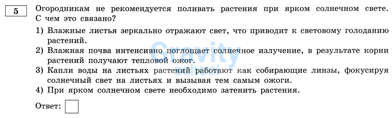 Почему огородникам не рекомендуется поливать растения при ярком солнечном свете? (17)