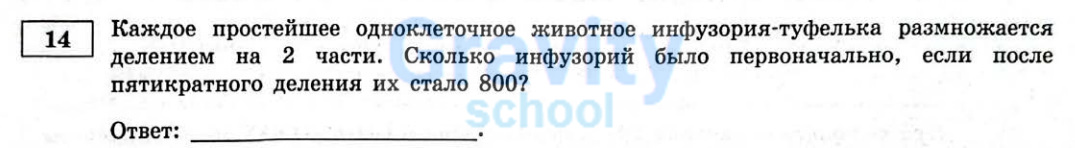 Каждое одноклеточное животное (9)