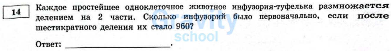 Сколько инфузорий было первоначально (10)
