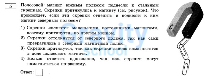 Полосовой магнит южным полюсом поднесли к стальным скрепкам