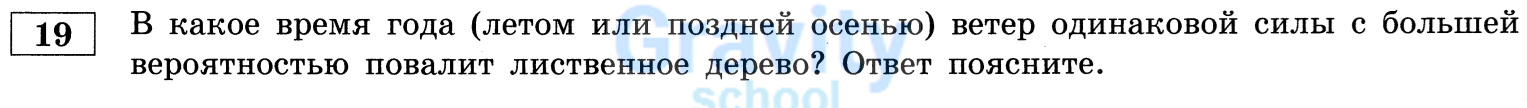 В какое время года ветер одинаковой силы с больше вероятностью повалит лиственное дерево? (30)