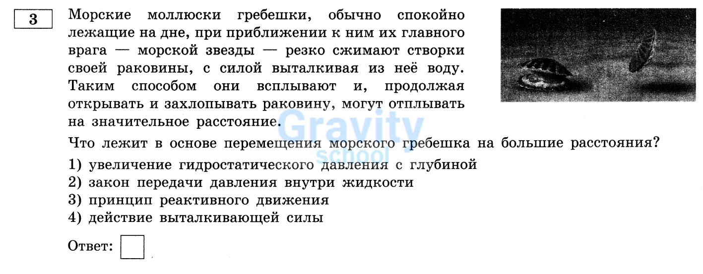 Что лежит в основе перемещения морского гребешка на большие расстояния? (16)