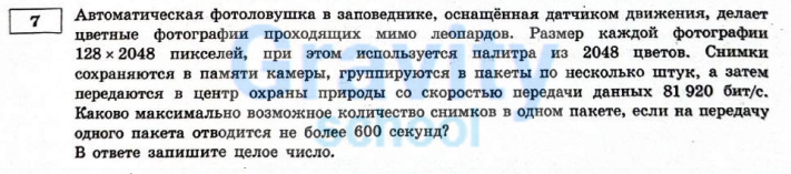 Автоматическая фотоловушка в заповеднике (7)