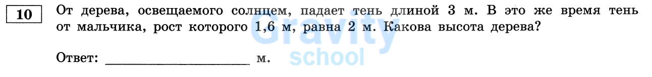 Какова высота дерева? (28)