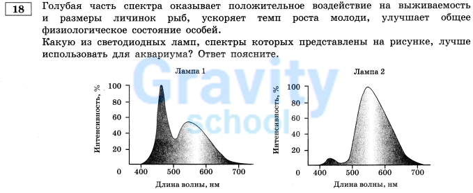 На рисунке предоставлены графики (10)