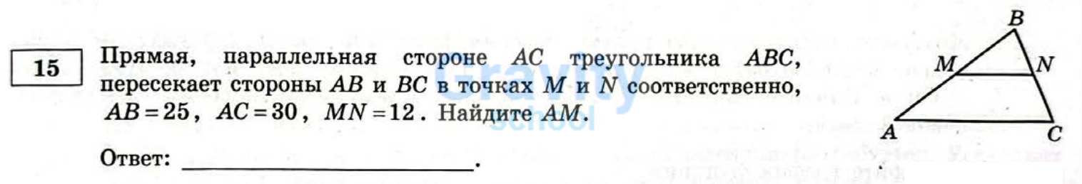 Найдите AM (24)